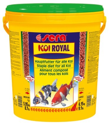 Корм для прудовых рыб Sera KOI ROYAL ST large 21L Корм для прудовых рыб Sera KOI ROYAL ST large 21L